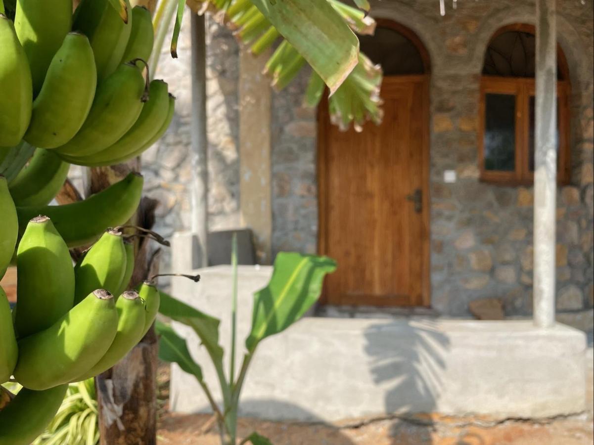 Dune Towers Kalpitiya Exterior foto