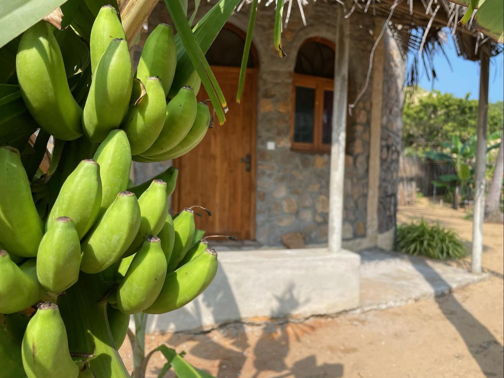 Dune Towers Kalpitiya Exterior foto
